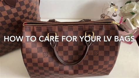 lv bag care